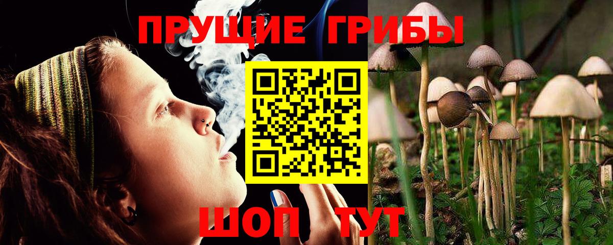 Лыткарино  Псилоцибиновые грибы Psilocybine cubensis  цены наркотик  Вход с VPN 